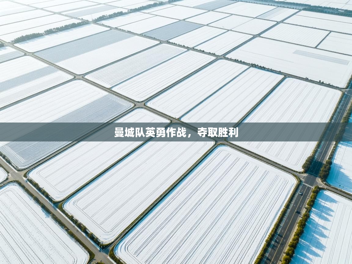 曼城队英勇作战，夺取胜利  第1张