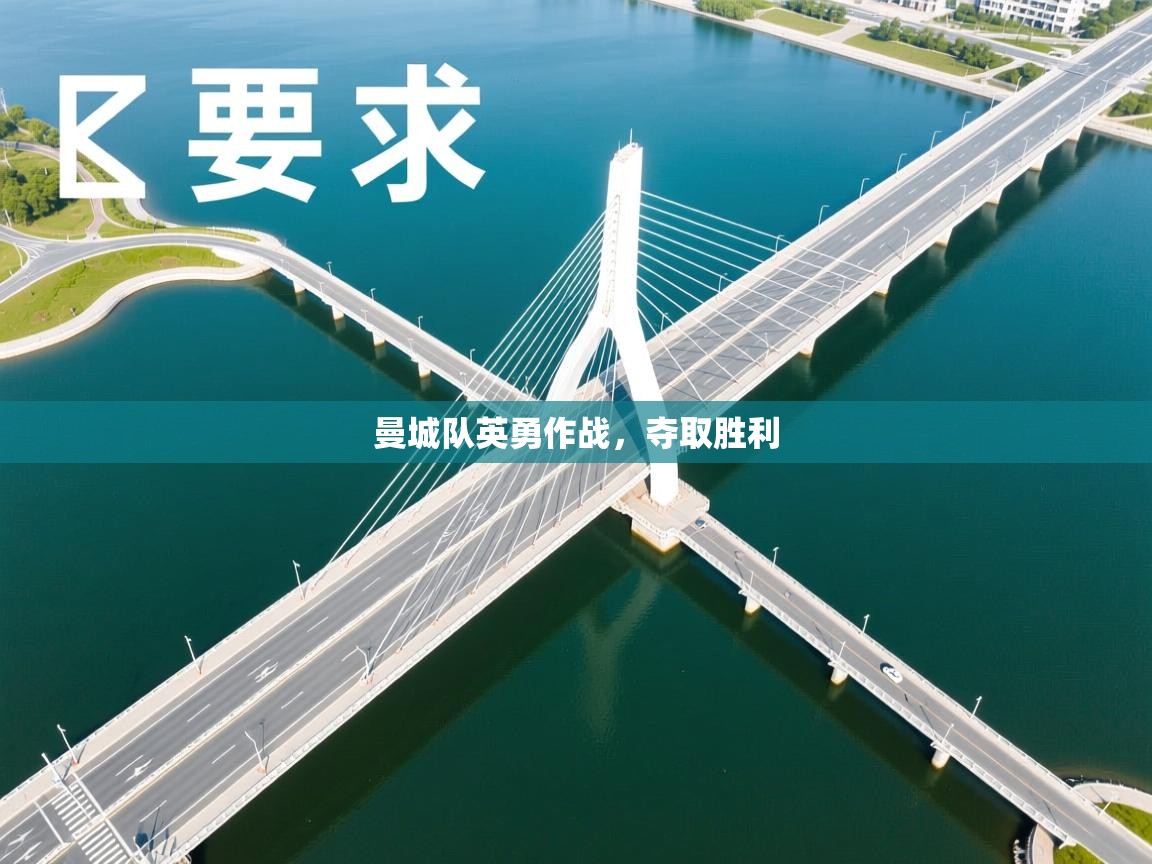 曼城队英勇作战，夺取胜利  第2张